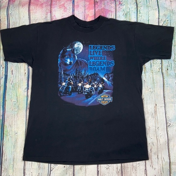 Harley-Davidson Other - Harley Davidson 1991 Sturgis Legends T-shirt